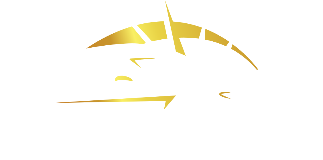 Fast Motors Logo